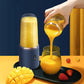 Portable Blender With Cup